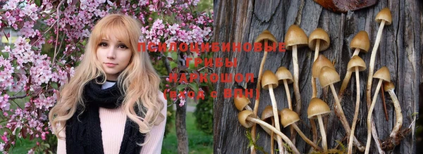 гашик Волоколамск