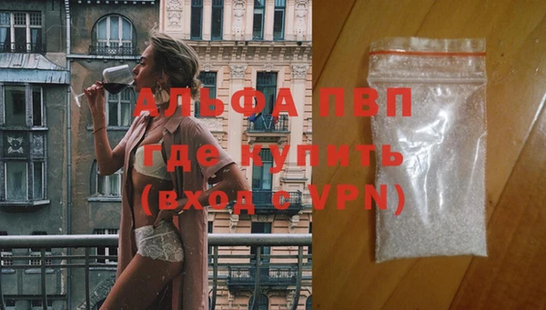 ПСИЛОЦИБИНОВЫЕ ГРИБЫ Володарск