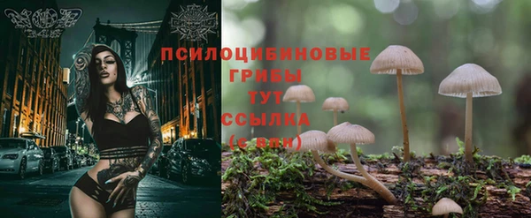 ПСИЛОЦИБИНОВЫЕ ГРИБЫ Володарск