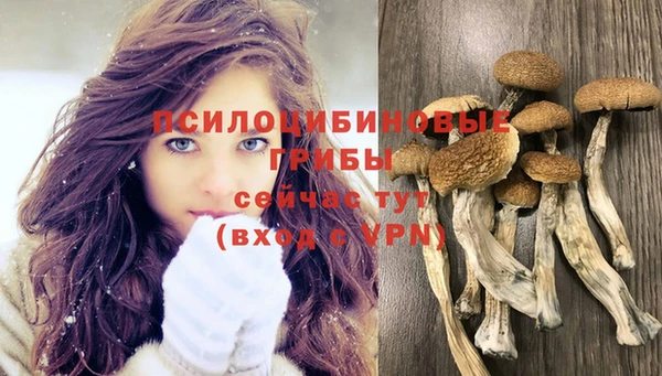 ПСИЛОЦИБИНОВЫЕ ГРИБЫ Володарск