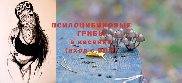 гашик Волоколамск
