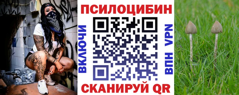 Псилоцибиновые грибы MAGIC MUSHROOMS  Зуевка 